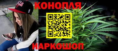 прущие грибы Усть-Илимск
