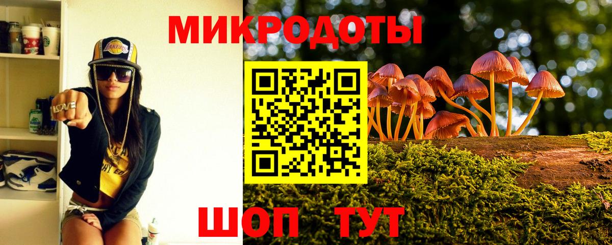 Псилоцибиновые грибы Psilocybine cubensis Борисоглебск